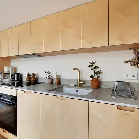 Bright Loft With Terrace - Belleville Apartment