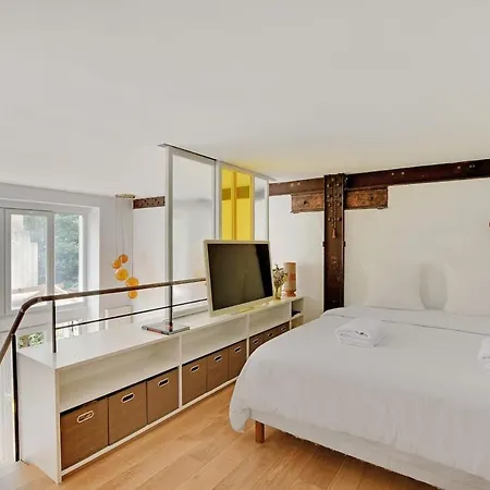 Bright Loft With Terrace - Belleville Apartment